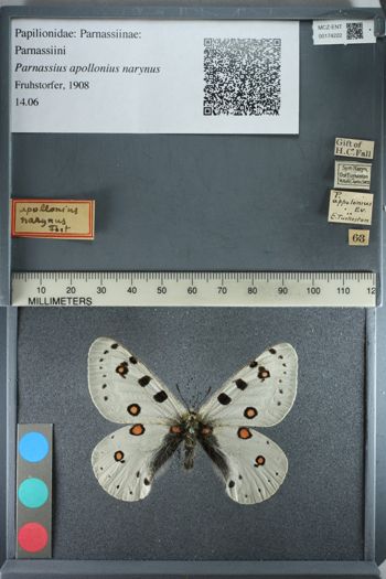 Media type: image;   Entomology 174222